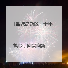 盐城高新区：十年筑梦，向高向新