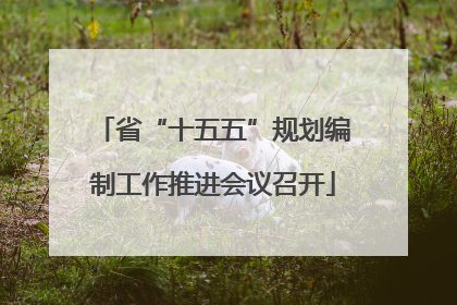 省“十五五”规划编制工作推进会议召开