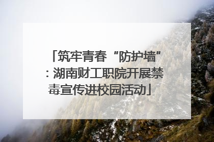 筑牢青春“防护墙”：湖南财工职院开展禁毒宣传进校园活动
