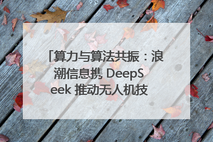 算力与算法共振：浪潮信息携 DeepSeek 推动无人机技术在舟山落地