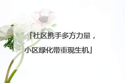 社区携手多方力量，小区绿化带重现生机