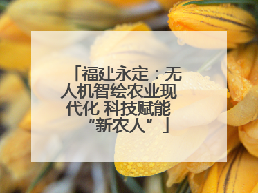 福建永定：无人机智绘农业现代化 科技赋能“新农人”