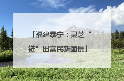 福建泰宁：灵芝“链”出富民新图景