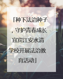 种下法治种子，守护青春成长 宜宾江安水清学校开展法治教育活动