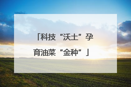 科技“沃土”孕育油菜“金种”