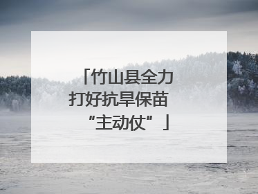 竹山县全力打好抗旱保苗“主动仗”
