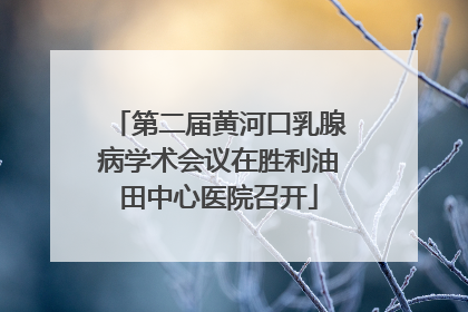 第二届黄河口乳腺病学术会议在胜利油田中心医院召开