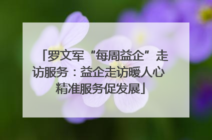 罗文军“每周益企”走访服务：益企走访暖人心 精准服务促发展