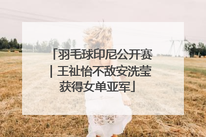 羽毛球印尼公开赛｜王祉怡不敌安洗莹 获得女单亚军