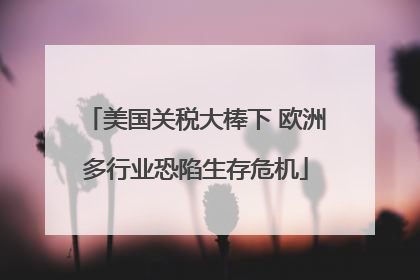 美国关税大棒下 欧洲多行业恐陷生存危机