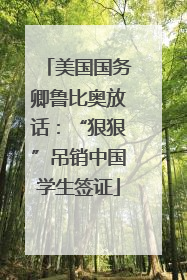 美国国务卿鲁比奥放话：“狠狠”吊销中国学生签证