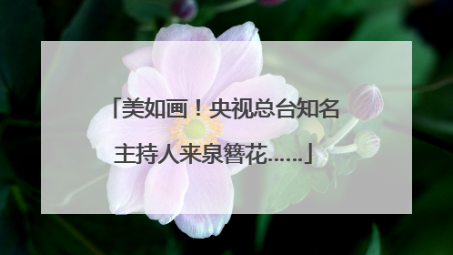 美如画！央视总台知名主持人来泉簪花……