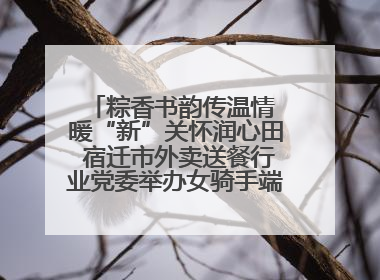 粽香书韵传温情 暖“新”关怀润心田 宿迁市外卖送餐行业党委举办女骑手端午主题活动