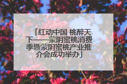 红动中国 桃醉天下——蒙阴蜜桃消费季暨蒙阴蜜桃产业推介会成功举办