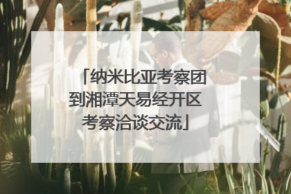 纳米比亚考察团到湘潭天易经开区考察洽谈交流