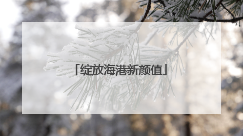 绽放海港新颜值