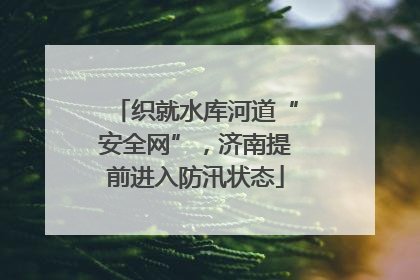 织就水库河道“安全网”，济南提前进入防汛状态