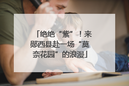 绝绝“紫”！来郧西县赴一场“莫奈花园”的浪漫