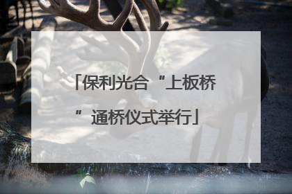 保利光合“上板桥”通桥仪式举行