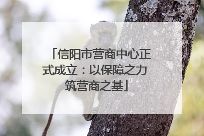 信阳市营商中心正式成立：以保障之力 筑营商之基