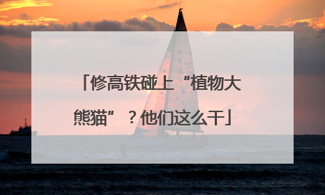 修高铁碰上“植物大熊猫”？他们这么干