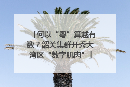 何以“粤”算越有数？韶关集群开秀大湾区“数字肌肉”