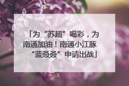 为“苏超”喝彩，为南通加油！南通小江豚“蓝叒叒”申请出战