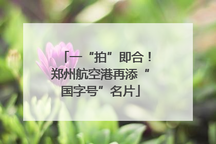 一“拍”即合！郑州航空港再添“国字号”名片