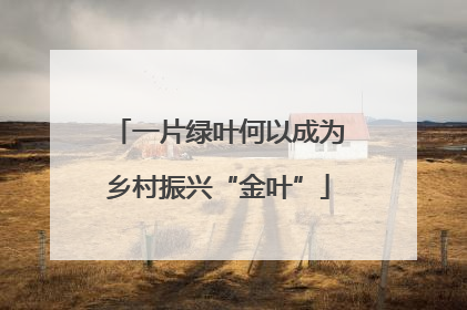 一片绿叶何以成为乡村振兴“金叶”