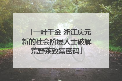 一叶千金 浙江庆元新的社会阶层人士破解荒野茶致富密码
