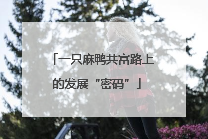 一只麻鸭共富路上的发展“密码”