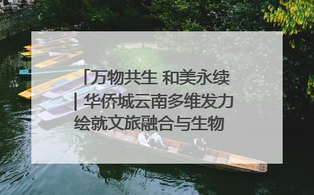 万物共生 和美永续｜华侨城云南多维发力 绘就文旅融合与生物多样性保护新图景
