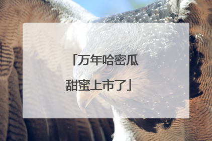 万年哈密瓜甜蜜上市了