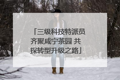 三级科技特派员齐聚咸宁茶园 共探转型升级之路