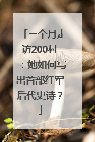 三个月走访200村：她如何写出首部红军后代史诗？