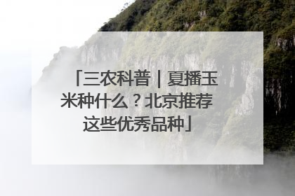 三农科普｜夏播玉米种什么？北京推荐这些优秀品种