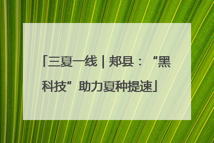 三夏一线｜郏县：“黑科技”助力夏种提速