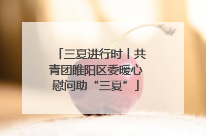 三夏进行时丨共青团睢阳区委暖心慰问助“三夏”