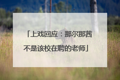 上戏回应：那尔那茜不是该校在聘的老师