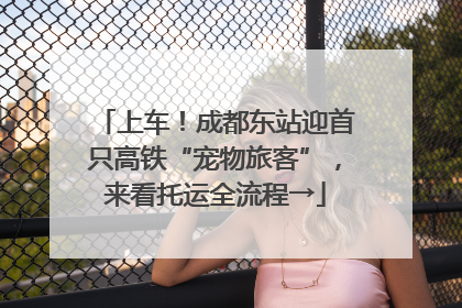 上车！成都东站迎首只高铁“宠物旅客”，来看托运全流程→