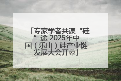 专家学者共谋“硅”途 2025年中国（乐山）硅产业链发展大会开幕