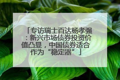 专访瑞士百达杨孝强：新兴市场债券投资价值凸显，中国债券适合作为“稳定器”