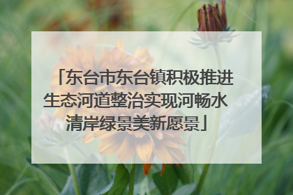 东台市东台镇积极推进生态河道整治实现河畅水清岸绿景美新愿景