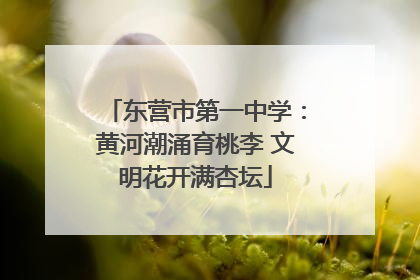 东营市第一中学：黄河潮涌育桃李 文明花开满杏坛