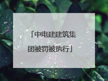 中电建建筑集团被罚被执行