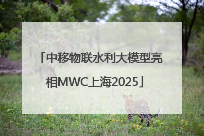 中移物联水利大模型亮相MWC上海2025