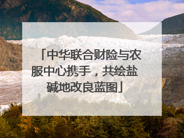中华联合财险与农服中心携手，共绘盐碱地改良蓝图