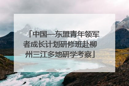 中国—东盟青年领军者成长计划研修班赴柳州三江多地研学考察