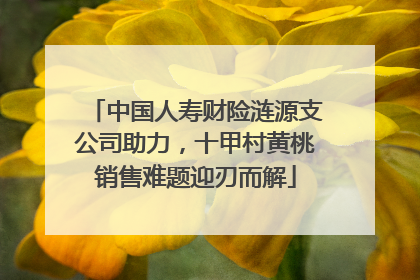 中国人寿财险涟源支公司助力，十甲村黄桃销售难题迎刃而解