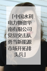 中国水利电力物资华南有限公司党员突击队勇当新能源市场开拓排头兵